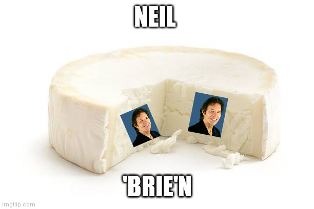 Lol cheese man | NEIL; 'BRIE'N | image tagged in cheese | made w/ Imgflip meme maker