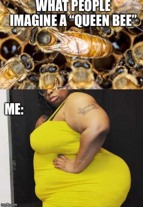 Queen bee | image tagged in bbw | made w/ Imgflip meme maker