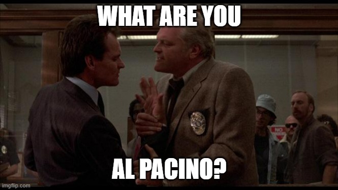 FUN | WHAT ARE YOU; AL PACINO? | image tagged in funny memes | made w/ Imgflip meme maker