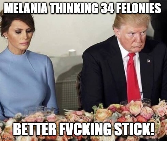 Melania & Trump* | MELANIA THINKING 34 FELONIES; BETTER FVCKING STICK! | image tagged in melania trump | made w/ Imgflip meme maker