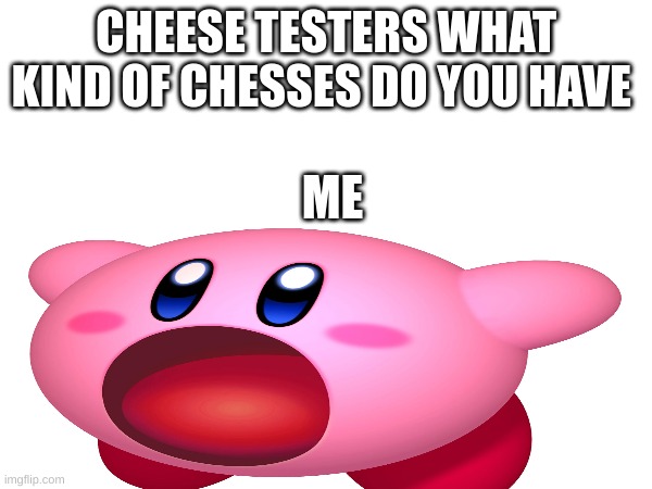 CHEESE TESTERS WHAT KIND OF CHESSES DO YOU HAVE; ME | made w/ Imgflip meme maker