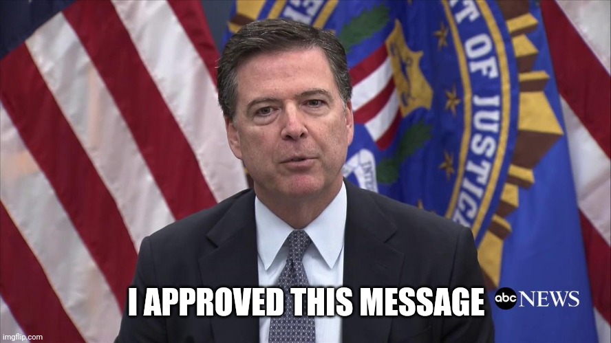 FBI Director James Comey | I APPROVED THIS MESSAGE | image tagged in fbi director james comey | made w/ Imgflip meme maker