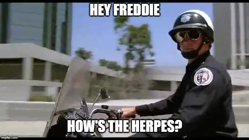 FUN | HEY FREDDIE; HOW'S THE HERPES? | image tagged in funny | made w/ Imgflip meme maker