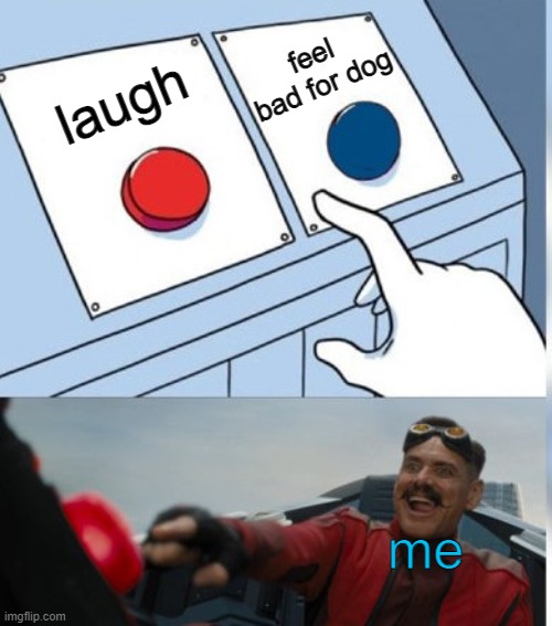 Two Buttons Eggman | laugh feel bad for dog me | image tagged in two buttons eggman | made w/ Imgflip meme maker