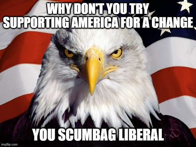 politics | WHY DON'T YOU TRY SUPPORTING AMERICA FOR A CHANGE; YOU SCUMBAG LIBERAL | image tagged in political meme | made w/ Imgflip meme maker