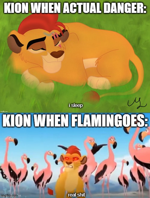 Please don't unfeature, I have the right to my own opinion | KION WHEN ACTUAL DANGER:; i sleep; KION WHEN FLAMINGOES:; real shit | image tagged in a mentally sick piece of garbage,garbage | made w/ Imgflip meme maker