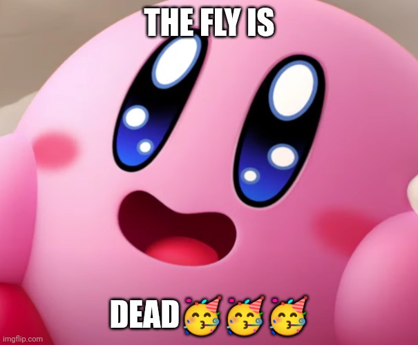 Happy Kirby | THE FLY IS; DEAD🥳🥳🥳 | image tagged in happy kirby | made w/ Imgflip meme maker