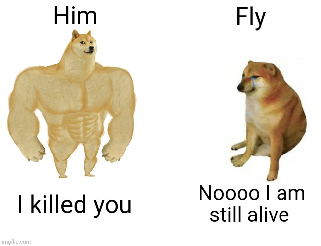 Buff Doge vs. Cheems | Him; Fly; I killed you; Noooo I am still alive | image tagged in memes,buff doge vs cheems | made w/ Imgflip meme maker