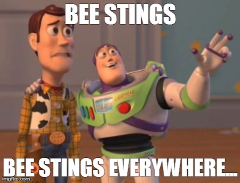 X, X Everywhere Meme | BEE STINGS BEE STINGS EVERYWHERE... | image tagged in memes,x x everywhere | made w/ Imgflip meme maker