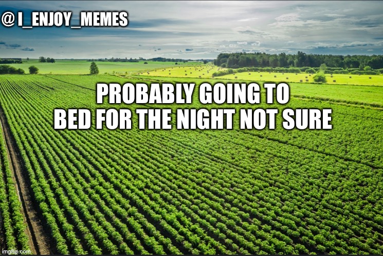 I_enjoy_memes_template | PROBABLY GOING TO BED FOR THE NIGHT NOT SURE | image tagged in i_enjoy_memes_template | made w/ Imgflip meme maker