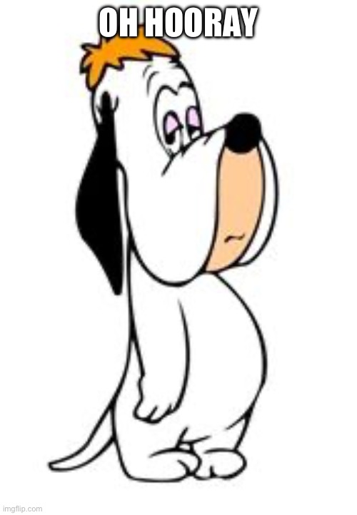 droopy the dog | OH HOORAY | image tagged in droopy the dog | made w/ Imgflip meme maker