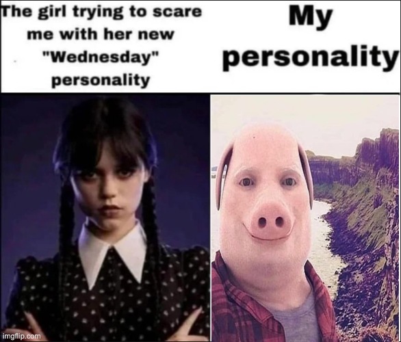 The girl trying to scare me with her new Wednesday personality | image tagged in the girl trying to scare me with her new wednesday personality | made w/ Imgflip meme maker