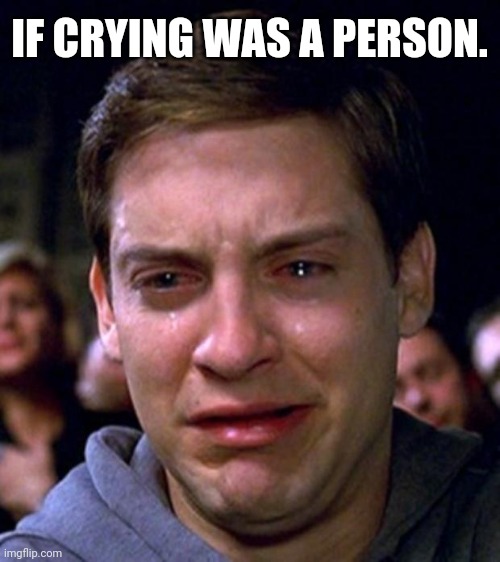 crying peter parker | IF CRYING WAS A PERSON. | image tagged in crying peter parker,memes | made w/ Imgflip meme maker
