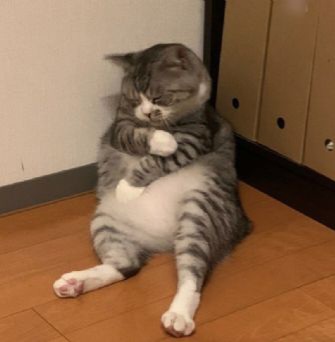 Mimir Blank Meme Template