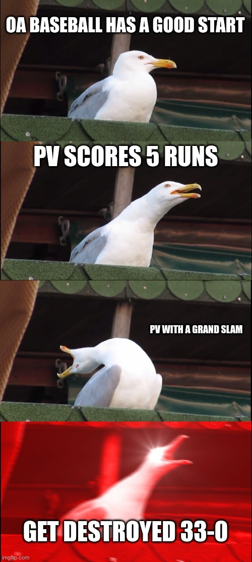 Inhaling Seagull | OA BASEBALL HAS A GOOD START; PV SCORES 5 RUNS; PV WITH A GRAND SLAM; GET DESTROYED 33-0 | image tagged in memes,inhaling seagull | made w/ Imgflip meme maker