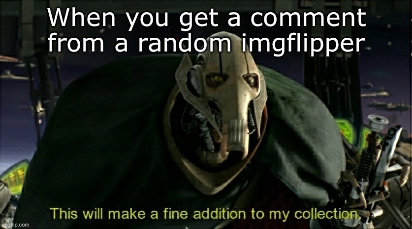 Another comment | When you get a comment from a random imgflipper | image tagged in this will make a fine addition to my collection,random,comment,comment section | made w/ Imgflip meme maker