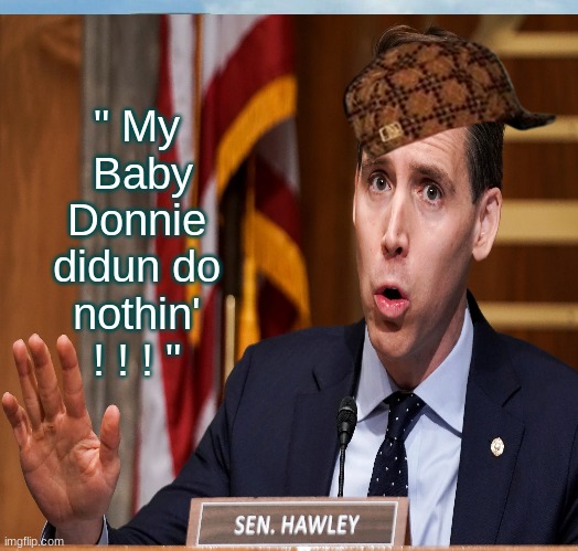 Hawley works hard for the money | " My  Baby Donnie didun do nothin' ! ! ! " | made w/ Imgflip meme maker