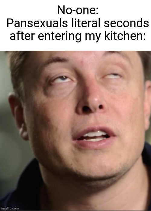 So true | No-one:
Pansexuals literal seconds after entering my kitchen: | image tagged in blank white template,elon musk | made w/ Imgflip meme maker