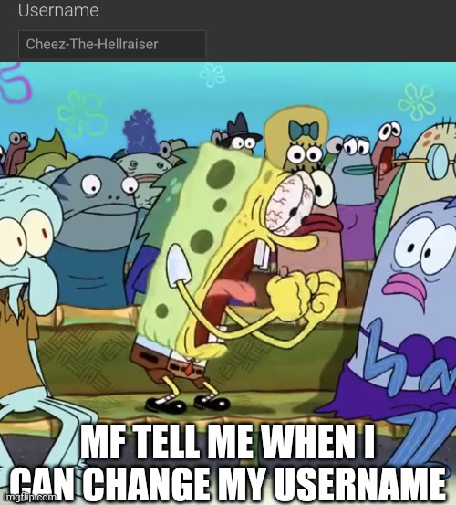 MF TELL ME WHEN I CAN CHANGE MY USERNAME | image tagged in spongebob yelling | made w/ Imgflip meme maker