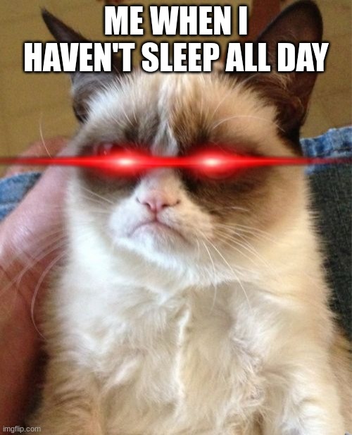 Grumpy Cat | ME WHEN I HAVEN'T SLEEP ALL DAY | image tagged in memes,grumpy cat | made w/ Imgflip meme maker