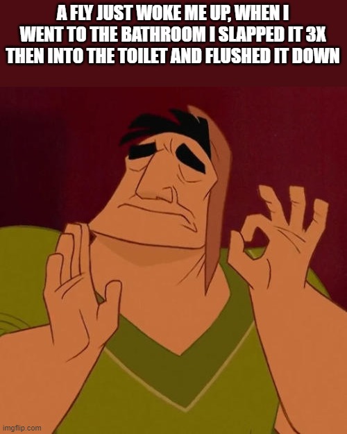 Revenge tastes amazing | A FLY JUST WOKE ME UP, WHEN I WENT TO THE BATHROOM I SLAPPED IT 3X THEN INTO THE TOILET AND FLUSHED IT DOWN | image tagged in when x just right | made w/ Imgflip meme maker