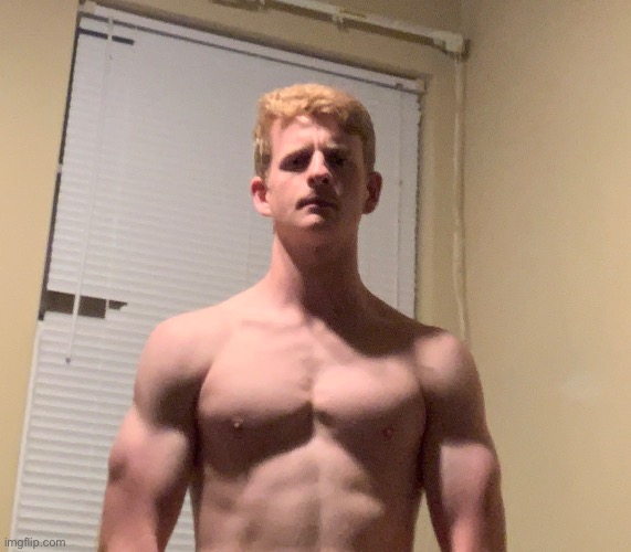 Ply | made w/ Imgflip meme maker