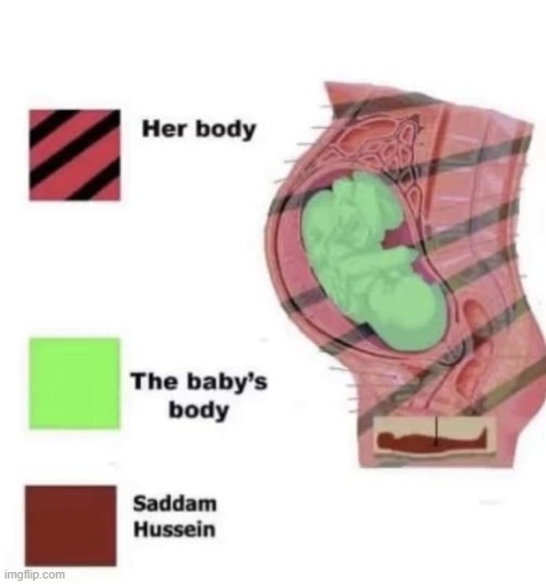 uncensored saddam hussein | made w/ Imgflip meme maker