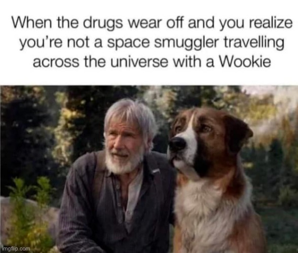 Wookie | image tagged in han solo,wookie,chewbacca,drugs,sober | made w/ Imgflip meme maker