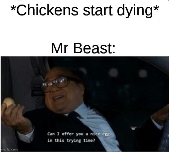 Inflation these days... | *Chickens start dying*; Mr Beast: | image tagged in can i offer you an egg | made w/ Imgflip meme maker