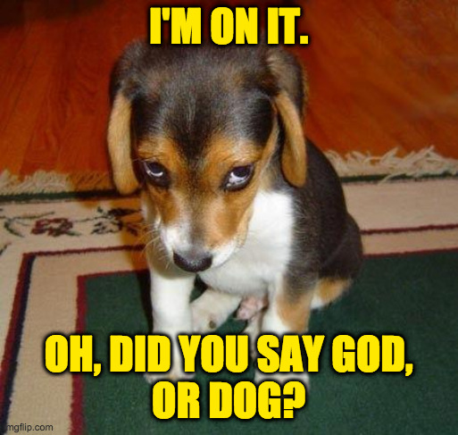 Sad puppy | I'M ON IT. OH, DID YOU SAY GOD,
OR DOG? | image tagged in sad puppy | made w/ Imgflip meme maker