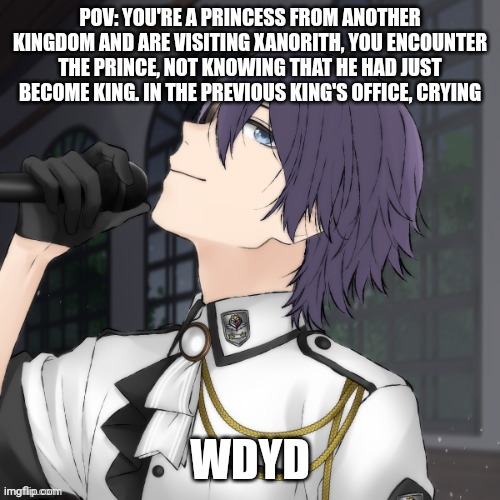 Also the previous king was his brother not father. Normal rules apply | POV: YOU'RE A PRINCESS FROM ANOTHER KINGDOM AND ARE VISITING XANORITH, YOU ENCOUNTER THE PRINCE, NOT KNOWING THAT HE HAD JUST BECOME KING. IN THE PREVIOUS KING'S OFFICE, CRYING; WDYD | image tagged in roleplaying | made w/ Imgflip meme maker