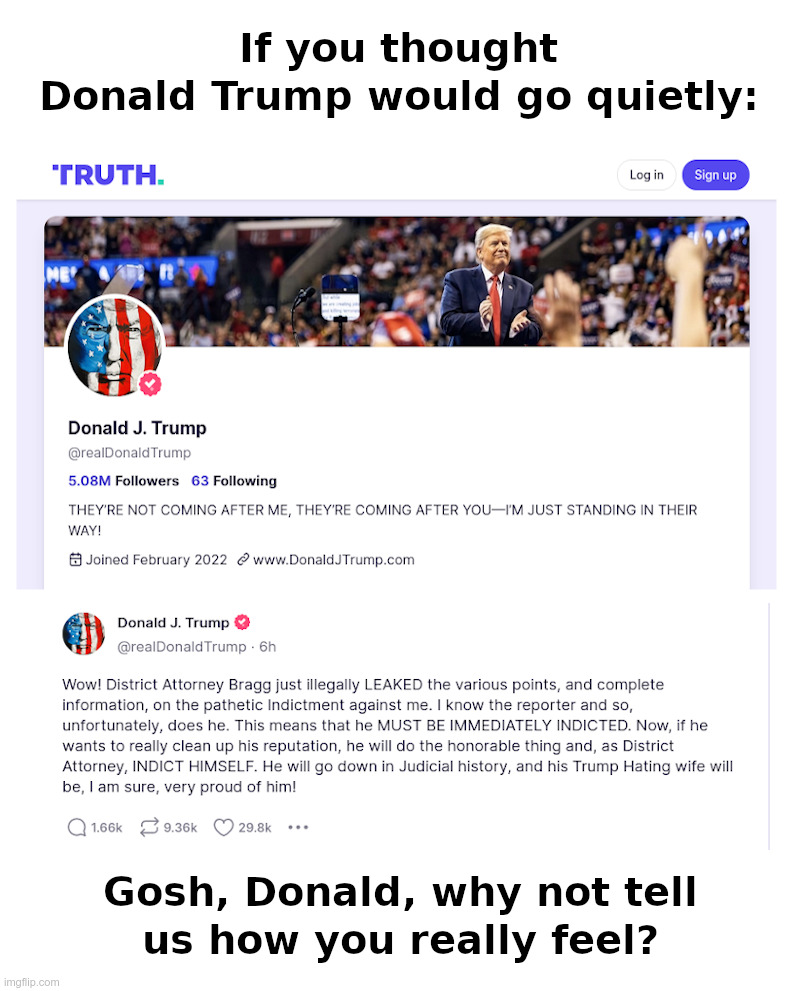 If You Thought Donald Trump Would Go Quietly | image tagged in donald trump,truth social,freedom of speech,maga,indict,alvin bragg | made w/ Imgflip meme maker