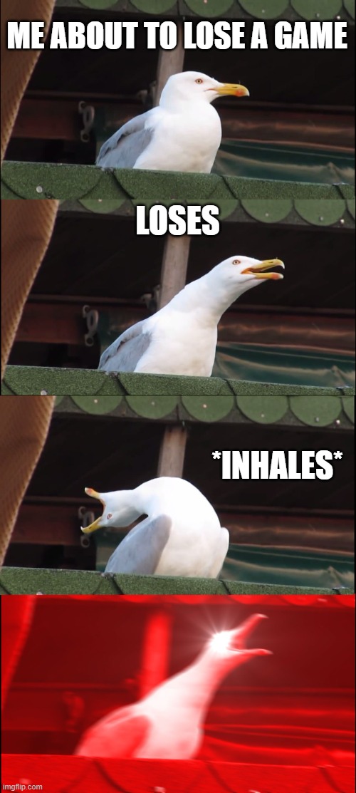 When i lose a game | ME ABOUT TO LOSE A GAME; LOSES; *INHALES* | image tagged in memes,inhaling seagull | made w/ Imgflip meme maker