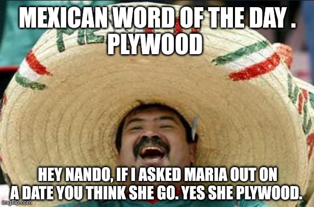 mexican word of the day | MEXICAN WORD OF THE DAY .
PLYWOOD; HEY NANDO, IF I ASKED MARIA OUT ON A DATE YOU THINK SHE GO. YES SHE PLYWOOD. | image tagged in mexican word of the day | made w/ Imgflip meme maker