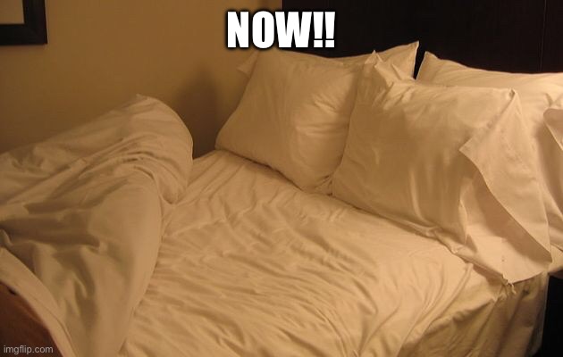 Bed | NOW!! | image tagged in bed | made w/ Imgflip meme maker