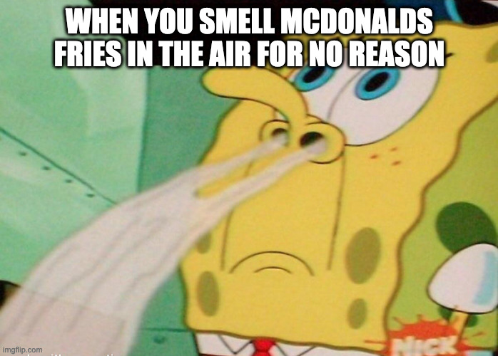 WHERE ARE THE FRIES HIDING TELL ME | WHEN YOU SMELL MCDONALDS FRIES IN THE AIR FOR NO REASON | image tagged in spongebob smelling | made w/ Imgflip meme maker