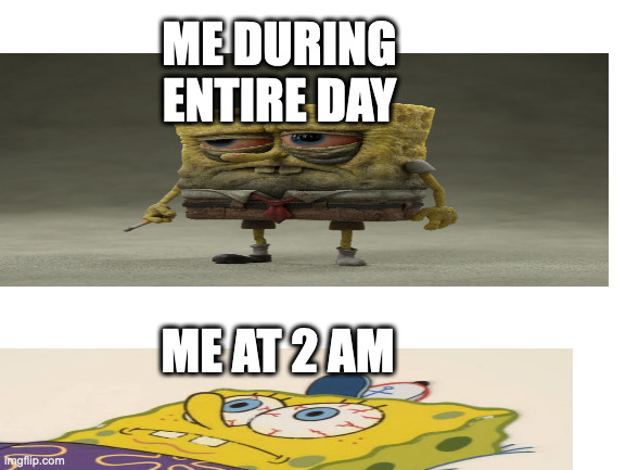 p     a     i     n | ME DURING ENTIRE DAY; ME AT 2 AM | image tagged in blank white template | made w/ Imgflip meme maker