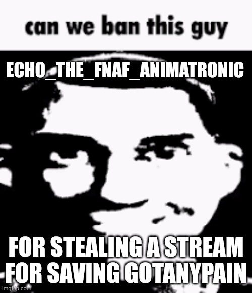 Can we ban this guy | ECHO_THE_FNAF_ANIMATRONIC; FOR STEALING A STREAM FOR SAVING GOTANYPAIN | image tagged in can we ban this guy | made w/ Imgflip meme maker
