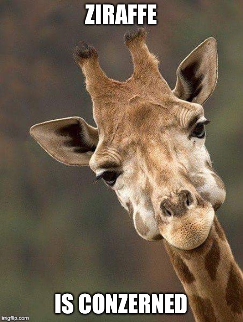 Giraffe face | ZIRAFFE; IS CONZERNED | image tagged in giraffe face | made w/ Imgflip meme maker