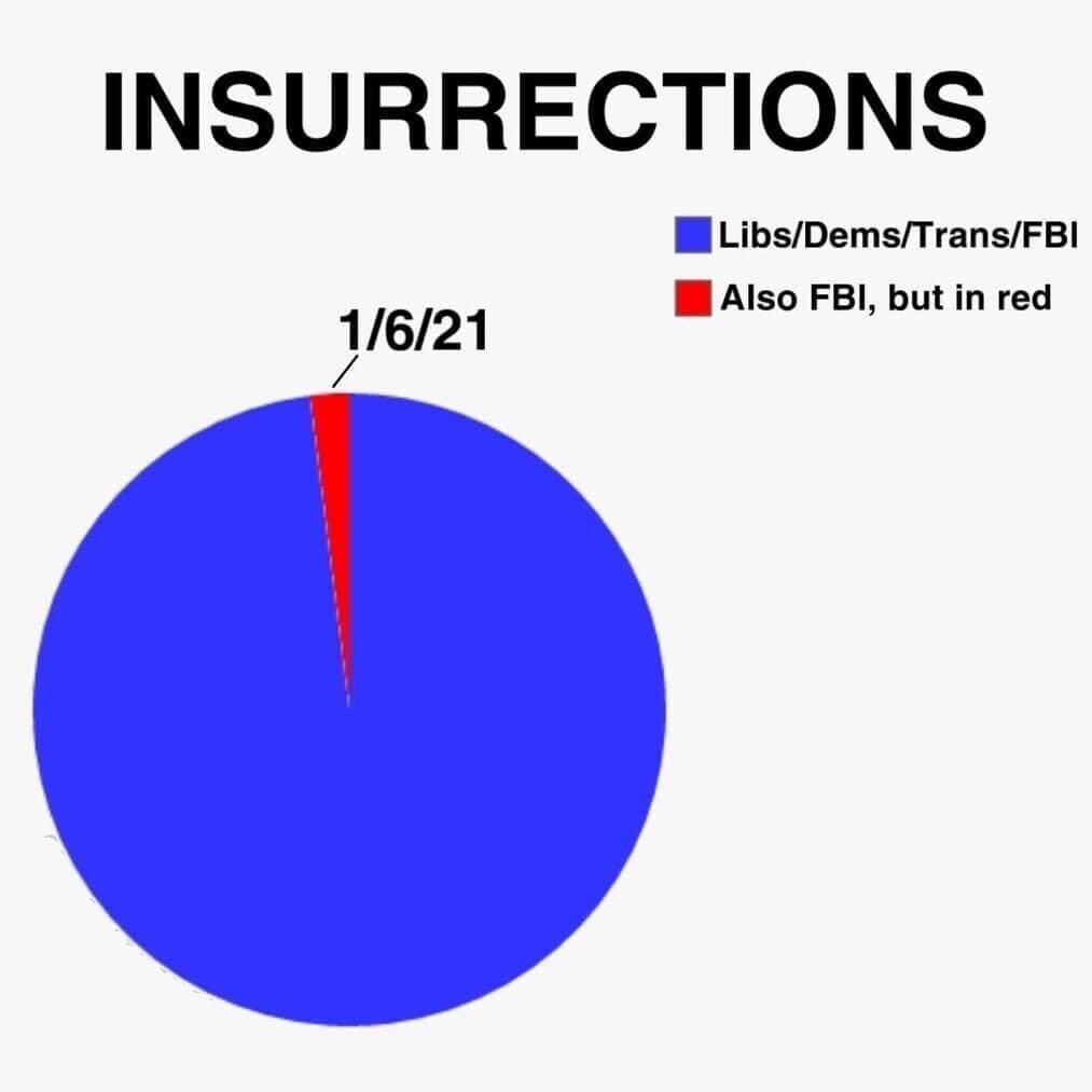 REAL Insurrections Pie Chart | image tagged in insurrections,pie chart,pie charts,sounds like communist propaganda,propaganda,false flag | made w/ Imgflip meme maker