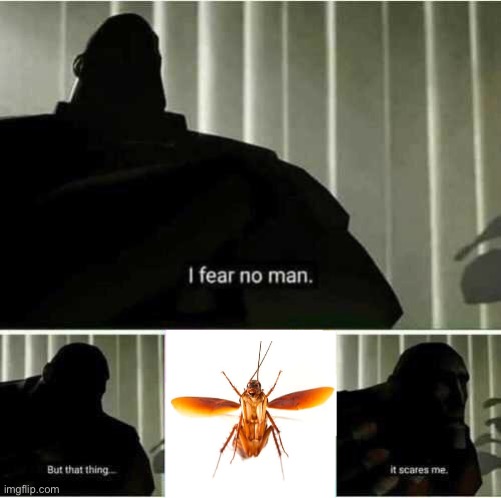 BZZZZZZZ | image tagged in i fear no man | made w/ Imgflip meme maker