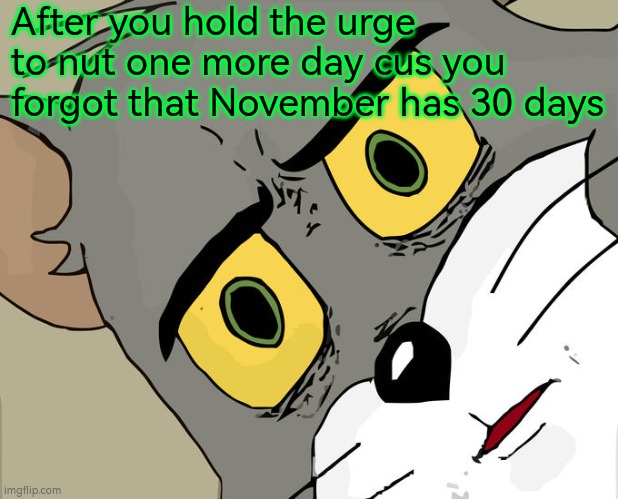 Unsettled Tom | After you hold the urge to nut one more day cus you forgot that November has 30 days | image tagged in memes,unsettled tom | made w/ Imgflip meme maker