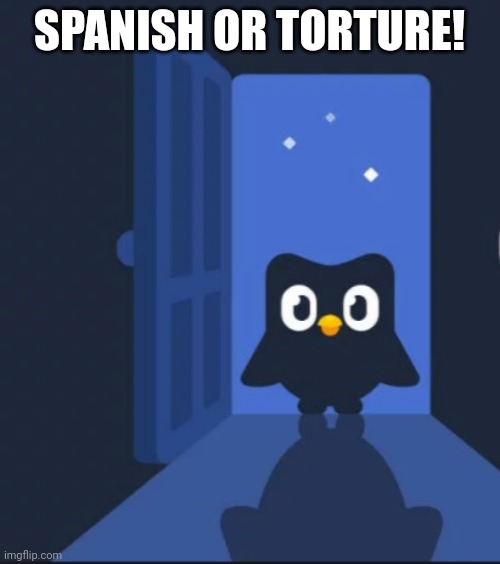 spanish or vanish | SPANISH OR TORTURE! | image tagged in duolingo bird | made w/ Imgflip meme maker