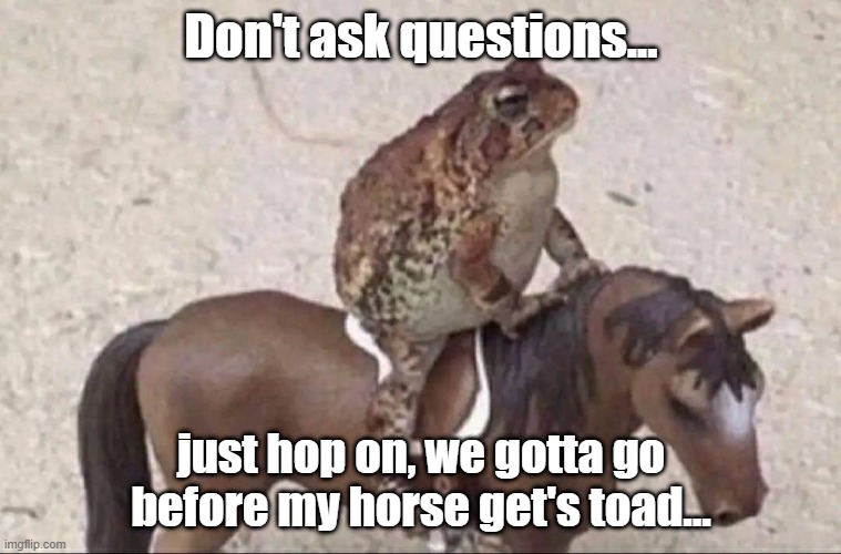 Toad horse | Don't ask questions... just hop on, we gotta go before my horse get's toad... | image tagged in frog,towed,questions,don't ask | made w/ Imgflip meme maker