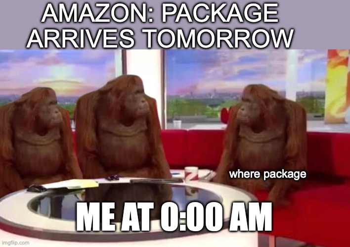 where monkey | AMAZON: PACKAGE ARRIVES TOMORROW; where package; ME AT 0:00 AM | image tagged in where monkey | made w/ Imgflip meme maker