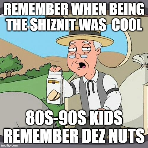 Pepperidge Farm Remembers | REMEMBER WHEN BEING THE SHIZNIT WAS  COOL; 80S-90S KIDS REMEMBER DEZ NUTS | image tagged in memes,pepperidge farm remembers,AdviceAnimals | made w/ Imgflip meme maker