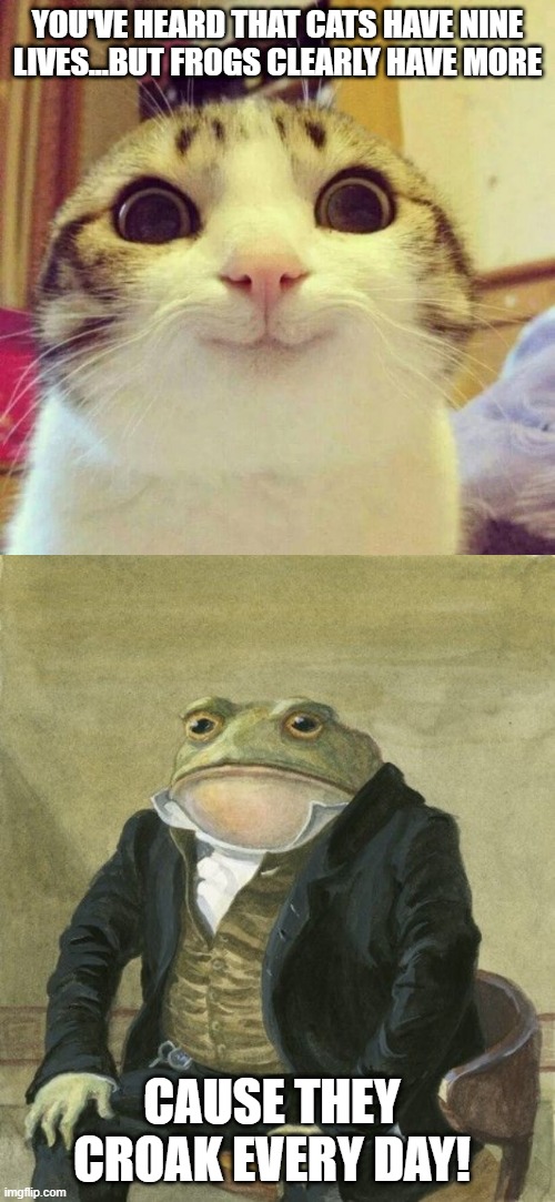 Many Lives | YOU'VE HEARD THAT CATS HAVE NINE LIVES...BUT FROGS CLEARLY HAVE MORE; CAUSE THEY CROAK EVERY DAY! | image tagged in memes,smiling cat,gentleman frog | made w/ Imgflip meme maker