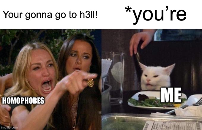 Woman Yelling At Cat Meme | *you’re; Your gonna go to h3ll! ME; HOMOPHOBES | image tagged in memes,woman yelling at cat | made w/ Imgflip meme maker