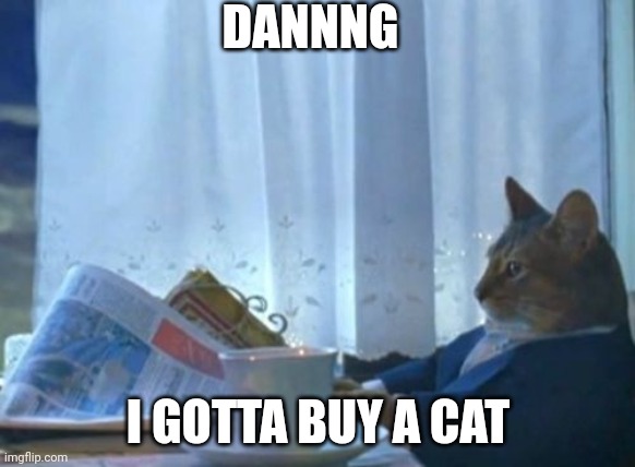 if only I had one:( haha sike I got 4 | DANNNG; I GOTTA BUY A CAT | image tagged in memes,i should buy a boat cat | made w/ Imgflip meme maker