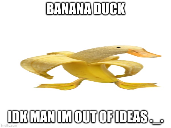 i have no ideas :/ | BANANA DUCK; IDK MAN IM OUT OF IDEAS ._. | image tagged in i have no idea what i am doing,why | made w/ Imgflip meme maker